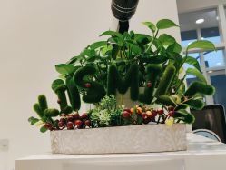 -青苗儿童口腔(长楹天街购物中心)