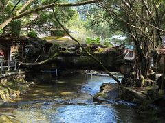 -天门沟九州驿站树上汤泉