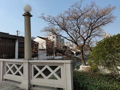 -青果巷历史文化街区