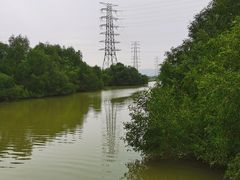 -崖口红树林海鲜餐厅