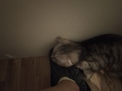 -牛牛章·鱼水煎肉(掇刀万达店)