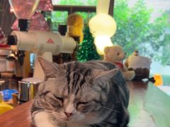 -咖法森林·咖啡  酒吧(天河店)