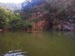 -百里鲜(羚羊峡古栈道森林公园店)