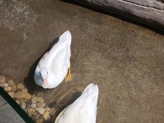 -苏州海洋馆