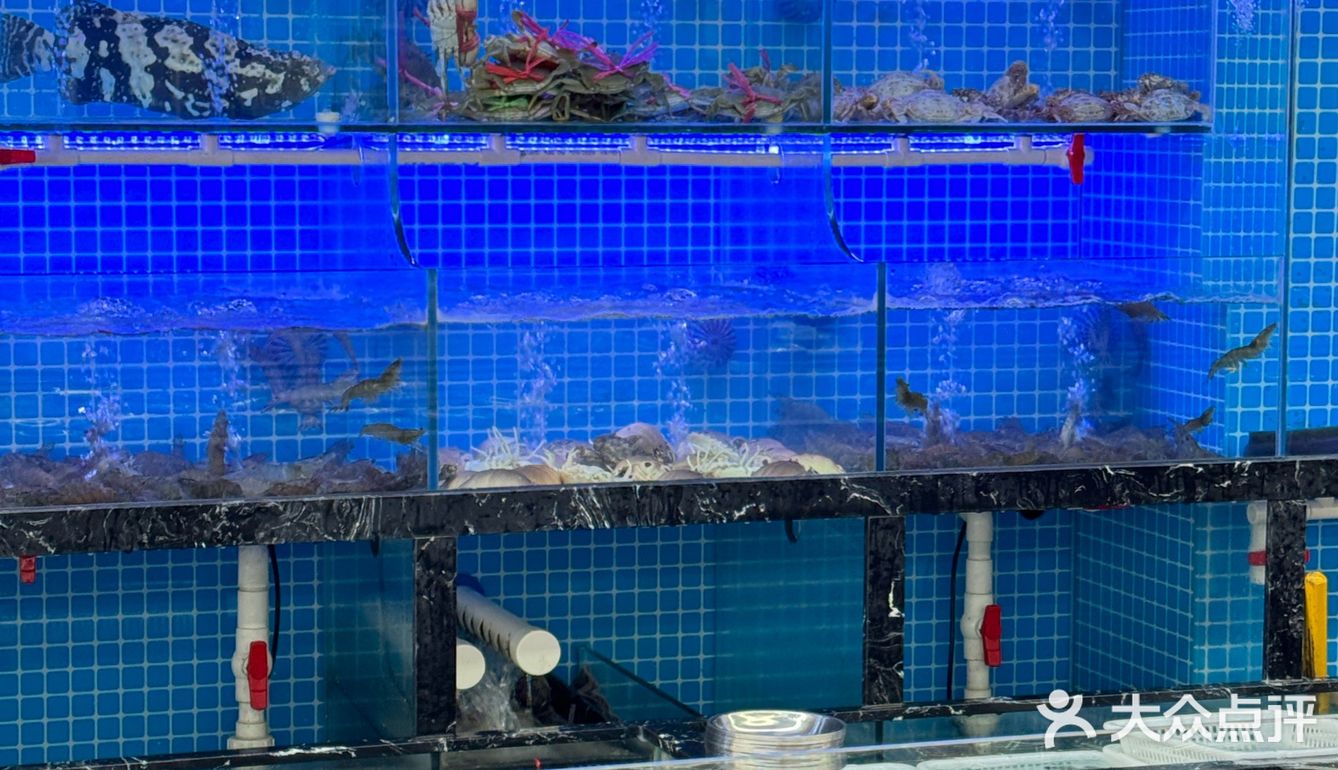 平价海鲜排挡火锅，太顶了！！！