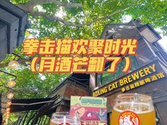 -Boxing Cat Brewery拳击猫精酿啤酒馆(永福店)