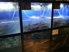 水产区-严厨老坛酸菜鱼(吴江万宝店)