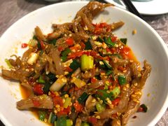 -壹盏灯(惠农店)