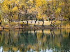 -长白岛森林公园