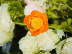 -海南清水湾莱佛士酒店