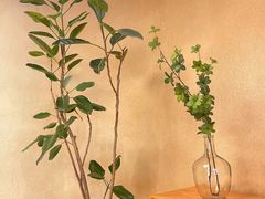 -白茶原·一片叶子
