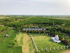 -武汉紫薇都市田园