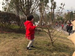 -枫香湖儿童公园