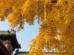 -承恩寺