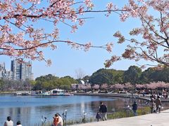 -新江湾城公园