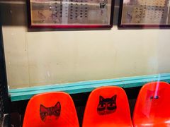 -猫咪博物馆(顶澳仔猫街店)