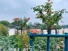 -世纪公园-世纪春沁园