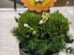 -鹿岛生活(熙地港店)