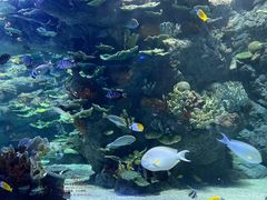 -欢乐海岸海洋奇梦馆