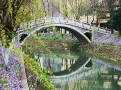 -南京林业大学-图书馆