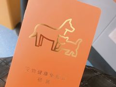 -伟伟宠物医院·瑞派猫友好医院·猫科(光谷店)