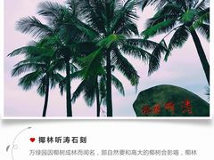 -万绿园