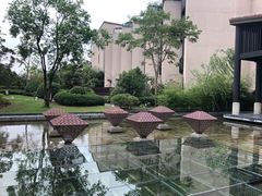 -上海崇明金茂凯悦酒店