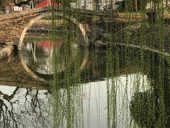 -鹅湖玫瑰文化园