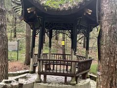 -四明山国家森林公园