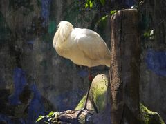 -杭州野生动物世界