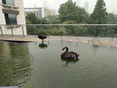 -行者书屋大堂吧 ·下午茶(南京圣和府邸酒店)