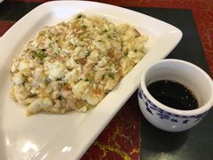 -丁老爷子苏香圆