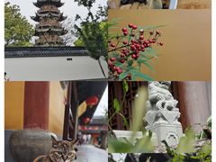 -龙华寺