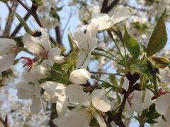 -鲁迅公园-垂钓中心