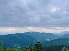 -武陵山森林公园