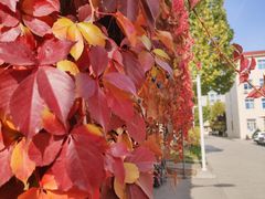 -防灾科技学院(南校区)