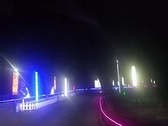 -枫花园汽车电影院(朝阳公园店)