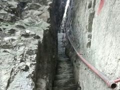 -天女山森林公园