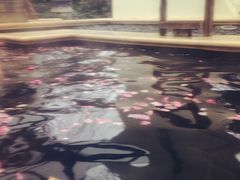 -苏州湾王焰温泉度假酒店
