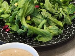 -梧桐人家中国太平国际健康颐养社区