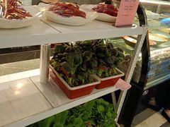 -颂福楼·南京菜(定淮门店)
