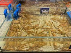 -渔傅·霞浦滩涂海鲜(建平店)