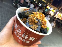 -黑色经典臭豆腐·湖南特产(坡子街店)