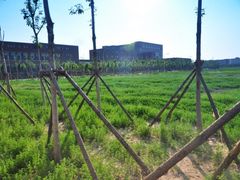 -天津现代职业技术学院