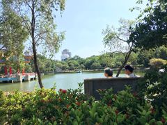 -金砂公园