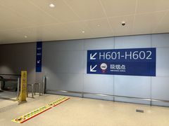 -上海浦东国际机场-T2航站楼