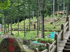 -洛阳白云山景区