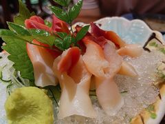 北极贝-KITON喜豚(清晖园店)