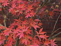 -浙江大学(玉泉校区)