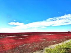 -盘锦红海温泉乐园